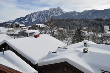 mossette 2